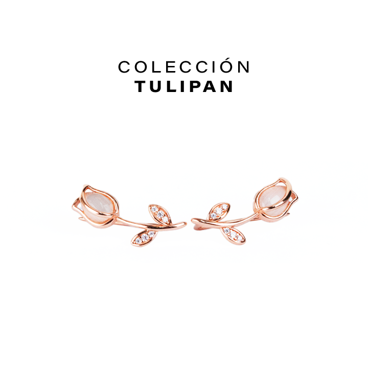 Colección de tulipán