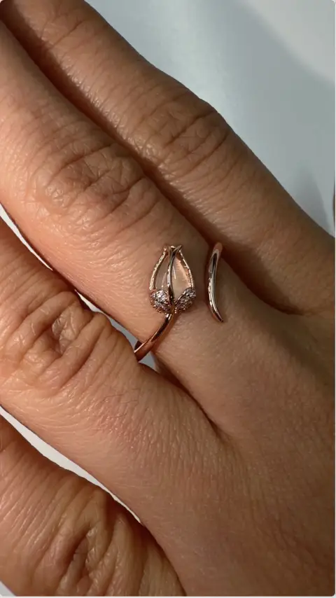 Anillo Tupilan